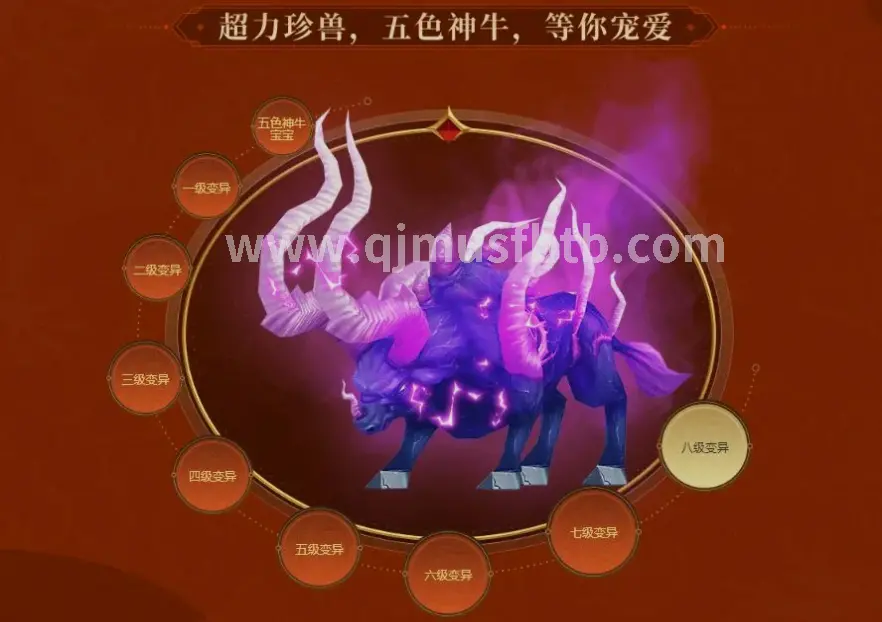 新手入门